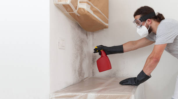 Professional Attic Mold Remediation technician working in Grandy, NC